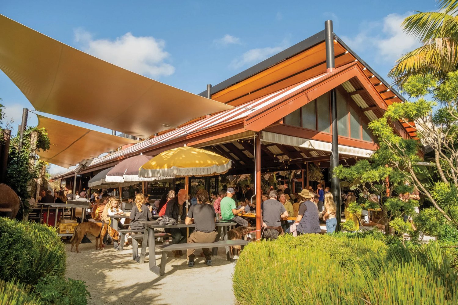Outdoor dining and beer garden at Hallertau Brewery